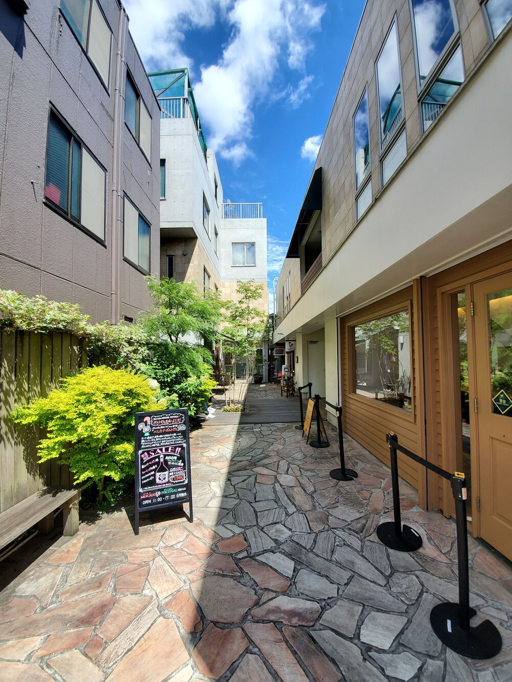 江ノ電沿線RUN🏃‍♂️🏃‍♀️💨の写真7