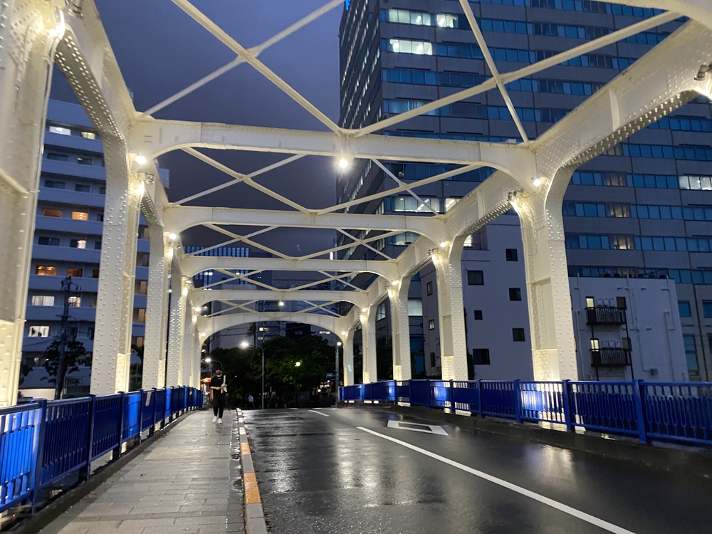 ある意味貴重なライトアップしていない隅田川テラスランの写真3