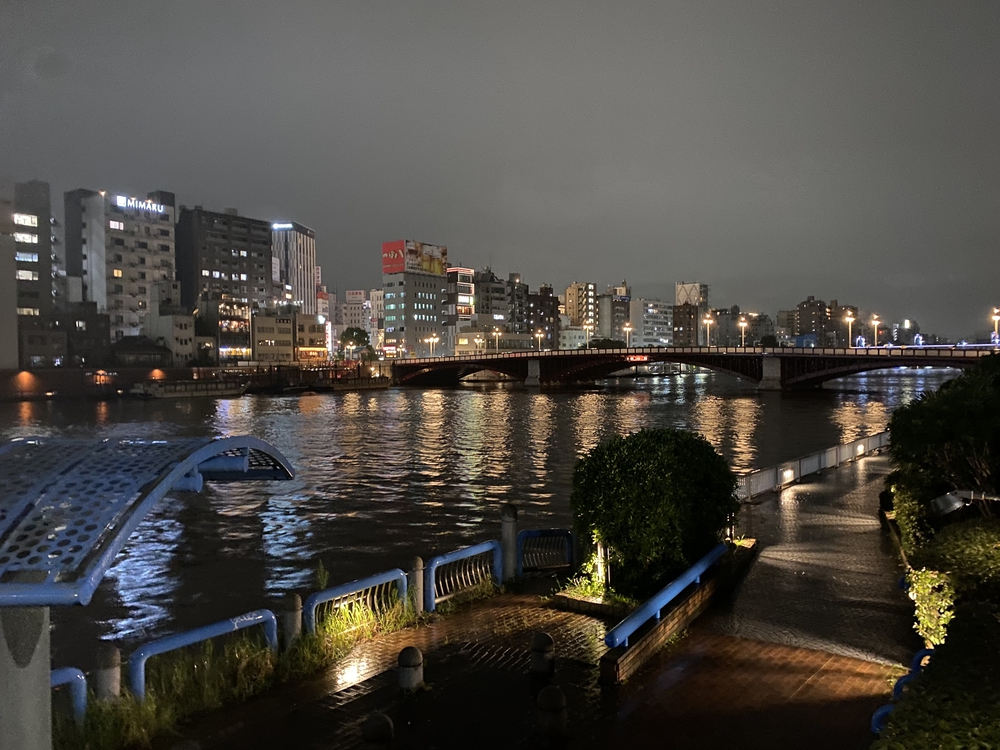 ある意味貴重なライトアップしていない隅田川テラスランの写真12