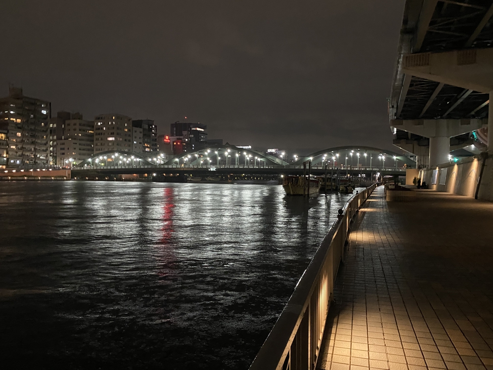 ある意味貴重なライトアップしていない隅田川テラスランの写真13