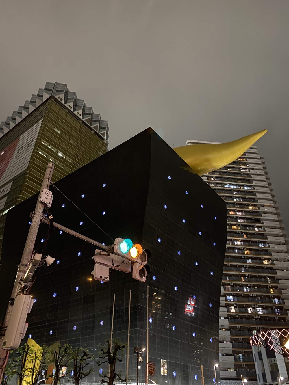 ある意味貴重なライトアップしていない隅田川テラスランの写真14