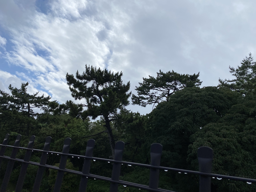 仁徳天皇陵古墳のごく周辺の中百舌鳥古墳群を短時間での写真7