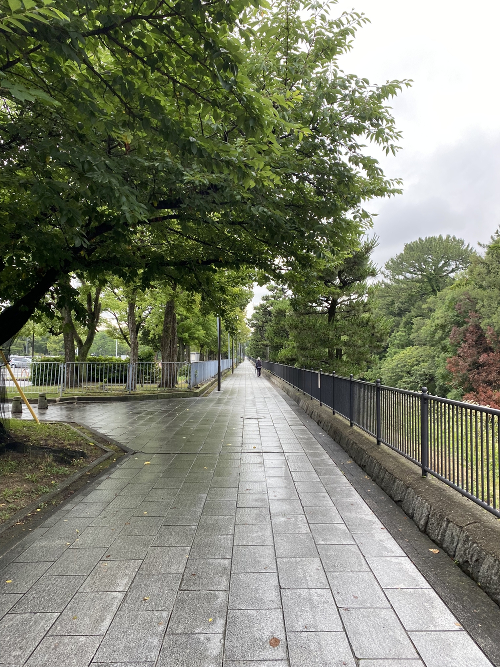 仁徳天皇陵古墳のごく周辺の中百舌鳥古墳群を短時間での写真10