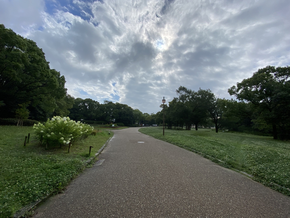 仁徳天皇陵古墳のごく周辺の中百舌鳥古墳群を短時間での写真13