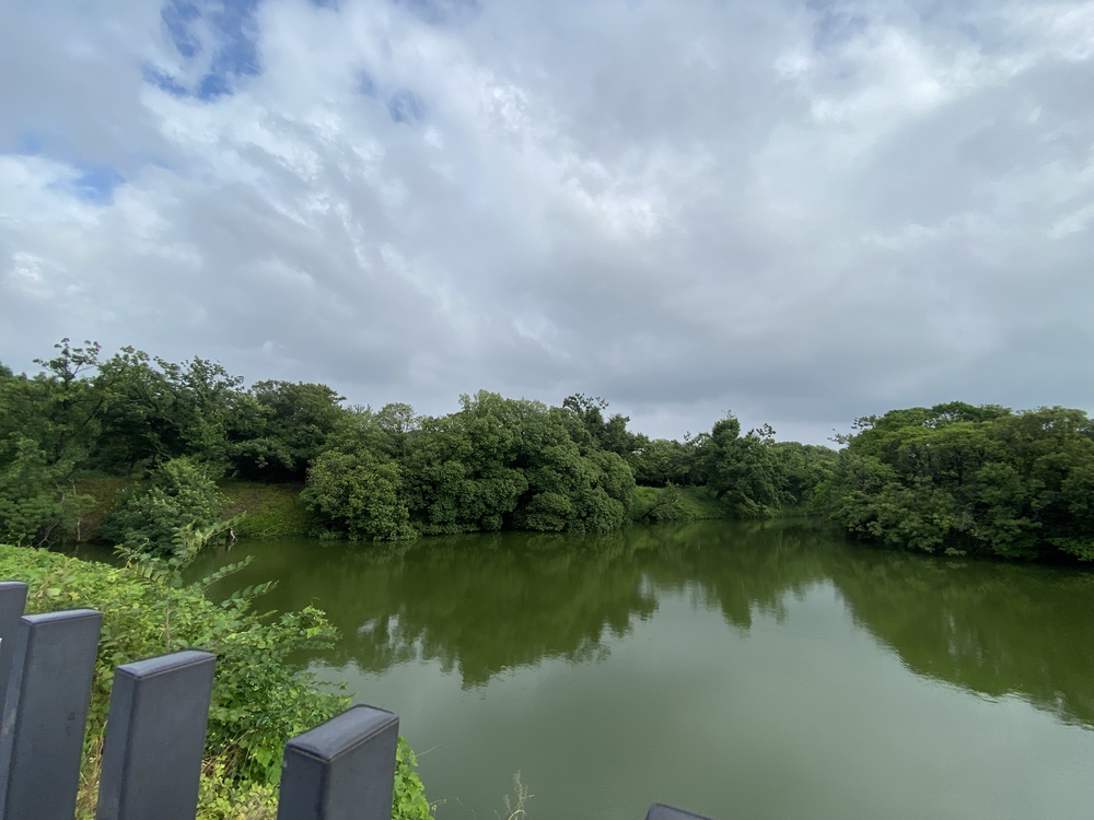 仁徳天皇陵古墳のごく周辺の中百舌鳥古墳群を短時間での写真22