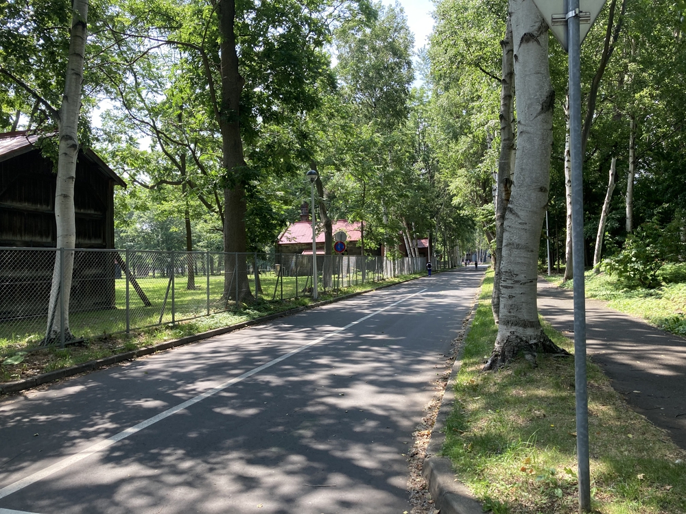 札幌中心部のオリンピックコース巡りの写真7