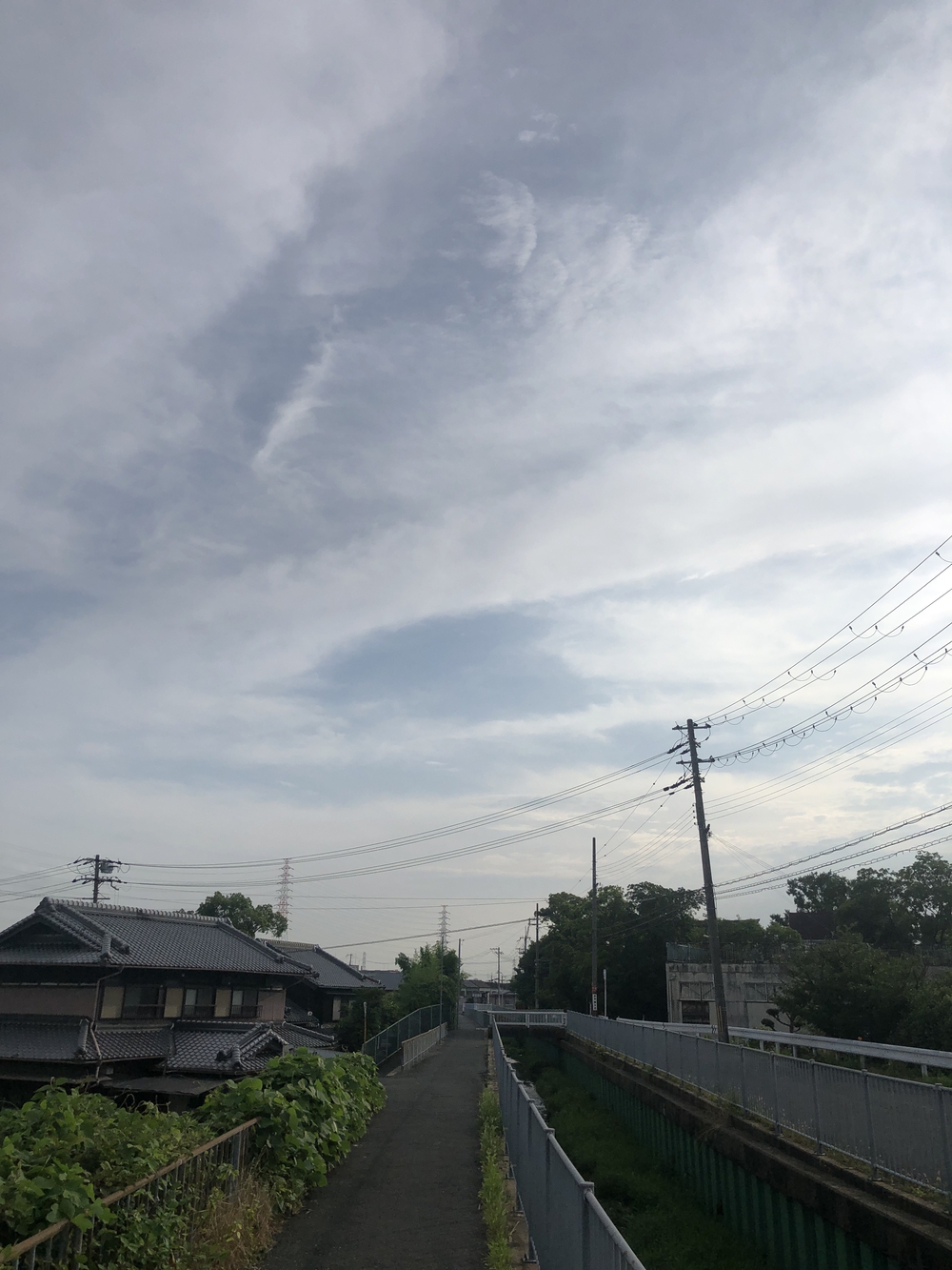 畷の里温泉から深北緑地つなぐ川辺コース10km！の写真3