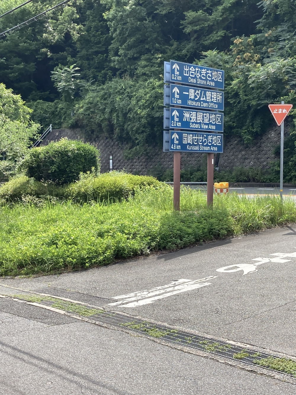 アップダウンが少なく走りやすいですの写真3