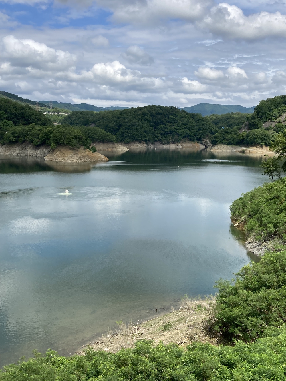 アップダウンが少なく走りやすいですの写真4