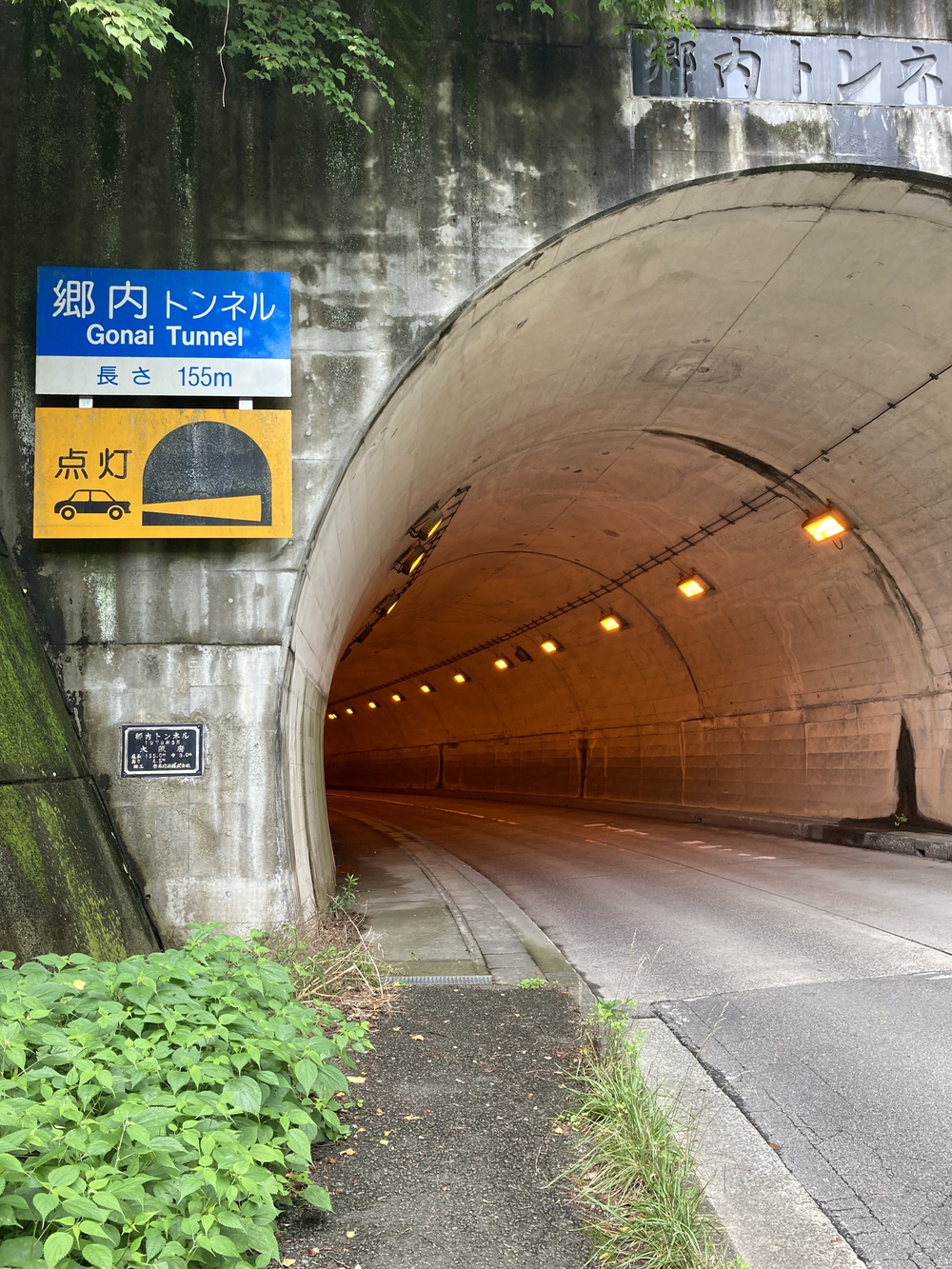 アップダウンが少なく走りやすいですの写真14