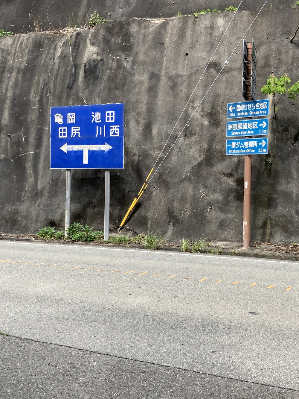 アップダウンが少なく走りやすいですの写真16