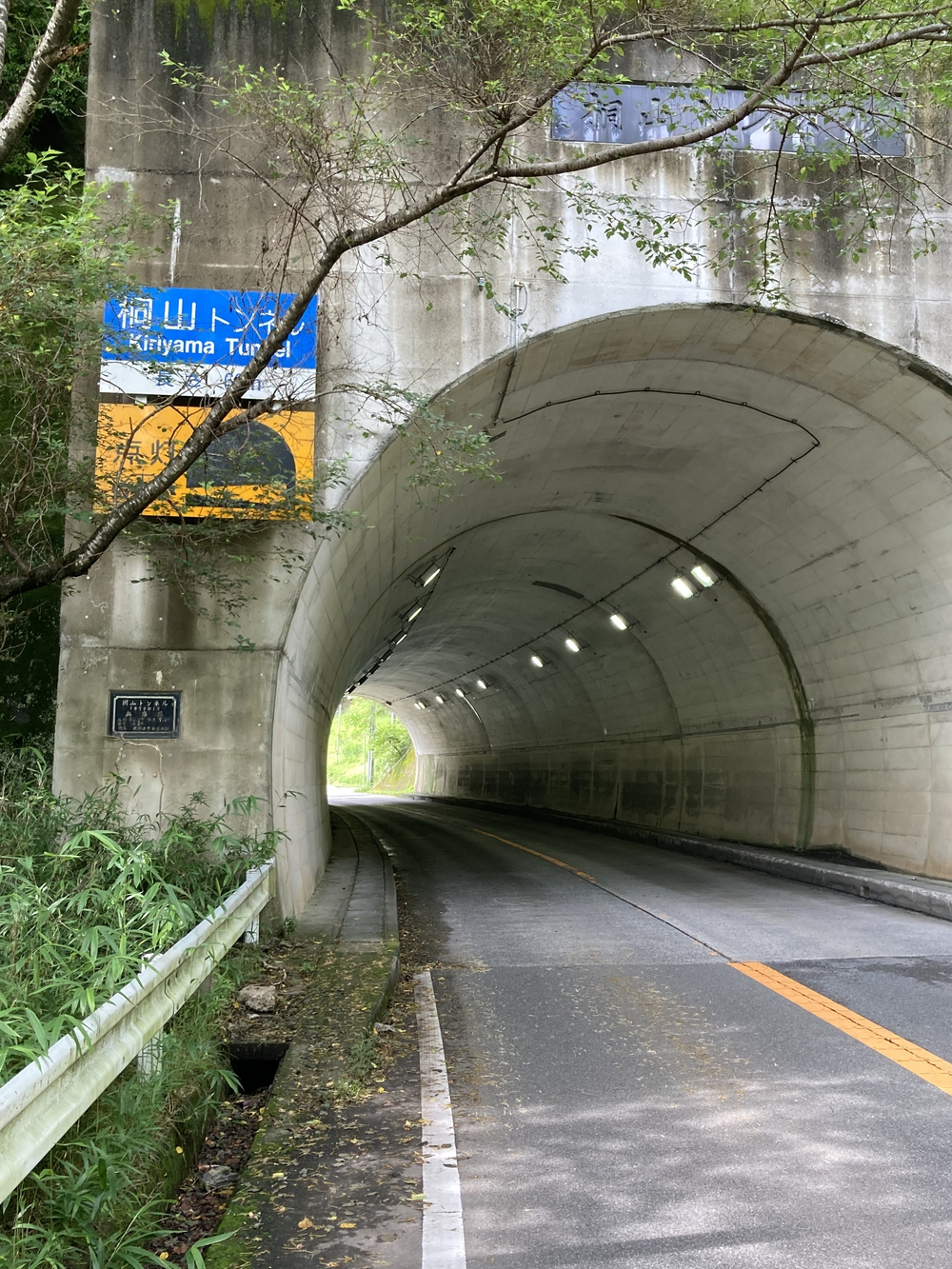 アップダウンが少なく走りやすいですの写真17