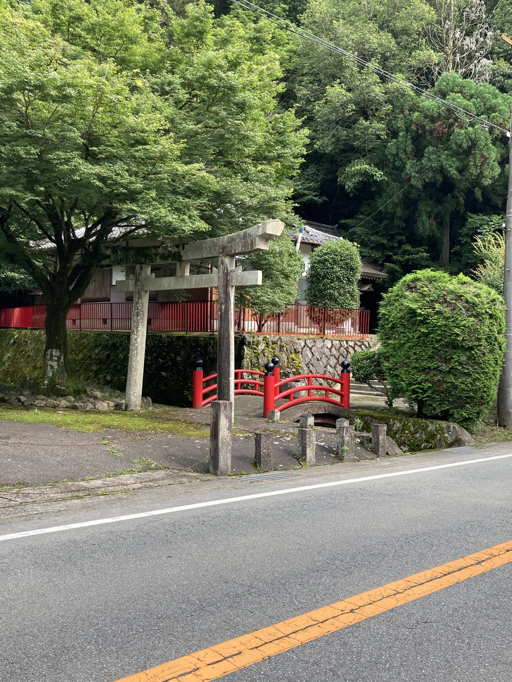 アップダウンが少なく走りやすいですの写真18