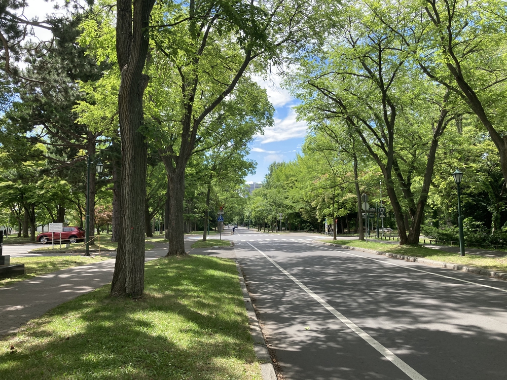 オリンピックコースの北半分の写真6