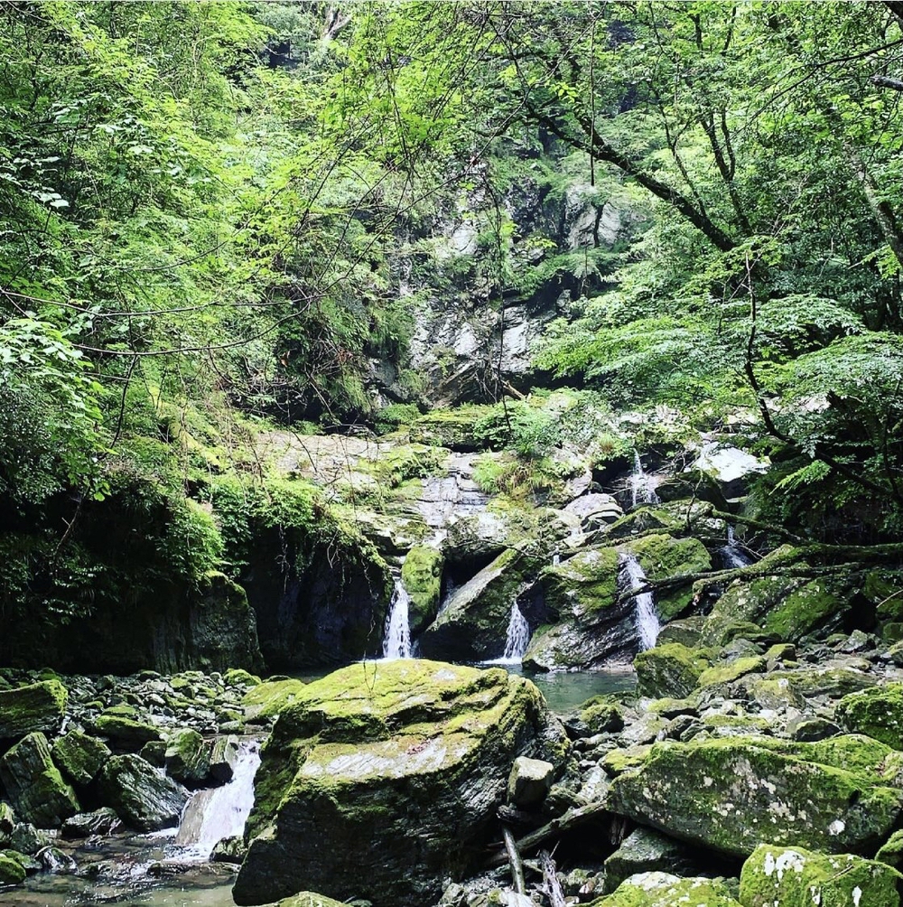 仁淀ブルー 安居渓谷ランの写真3