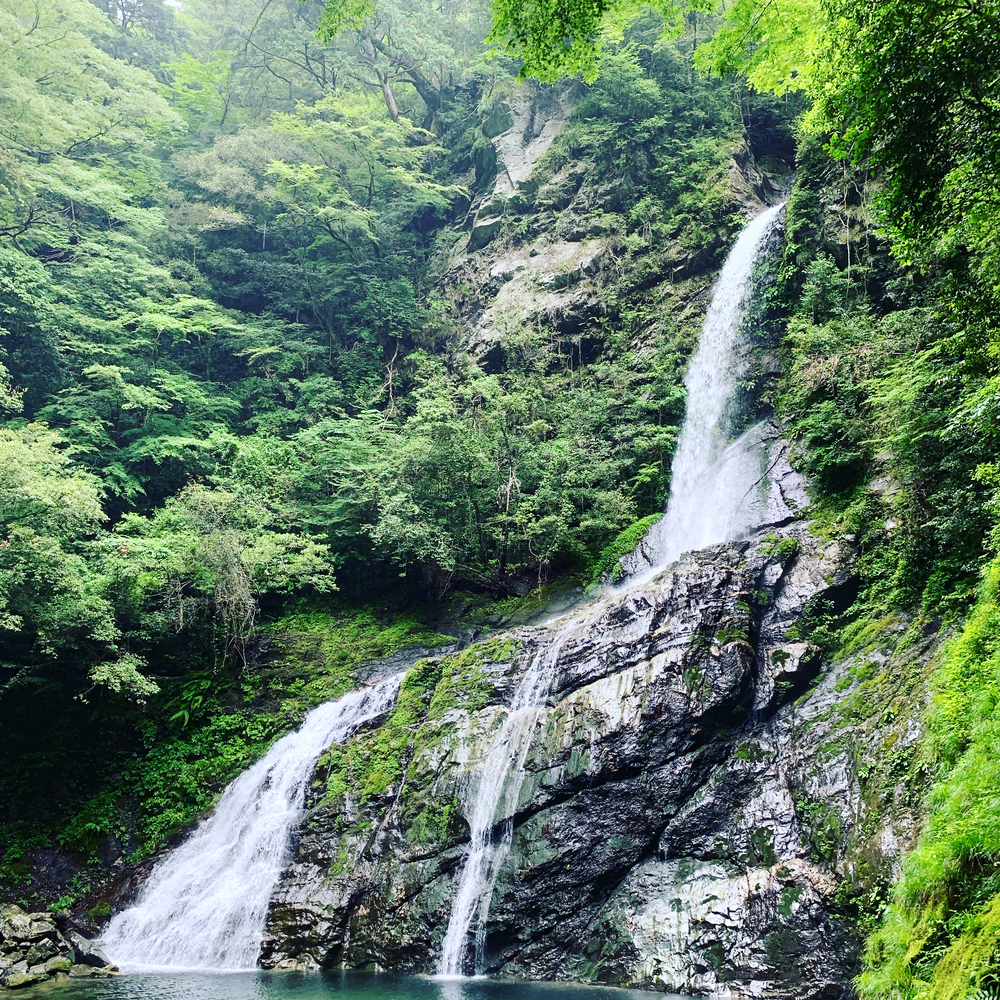 仁淀ブルー 安居渓谷ランの写真4