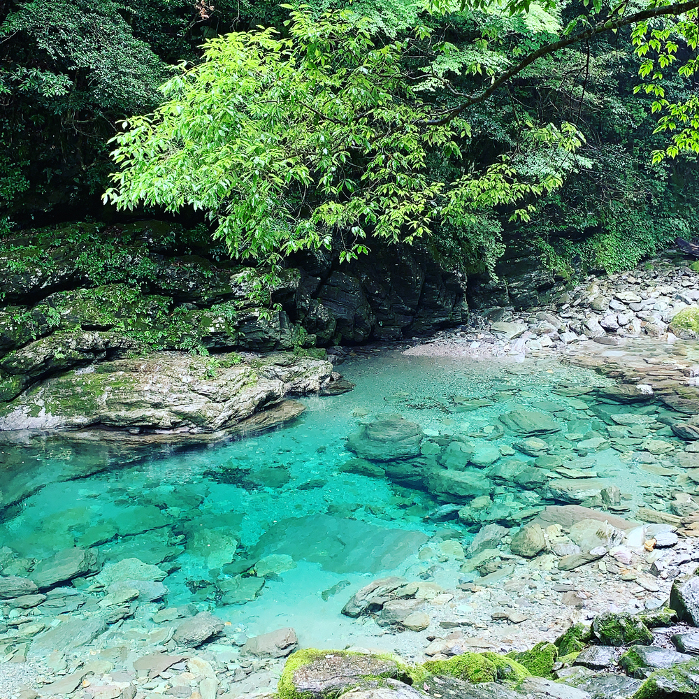 仁淀ブルー 安居渓谷ランの写真5
