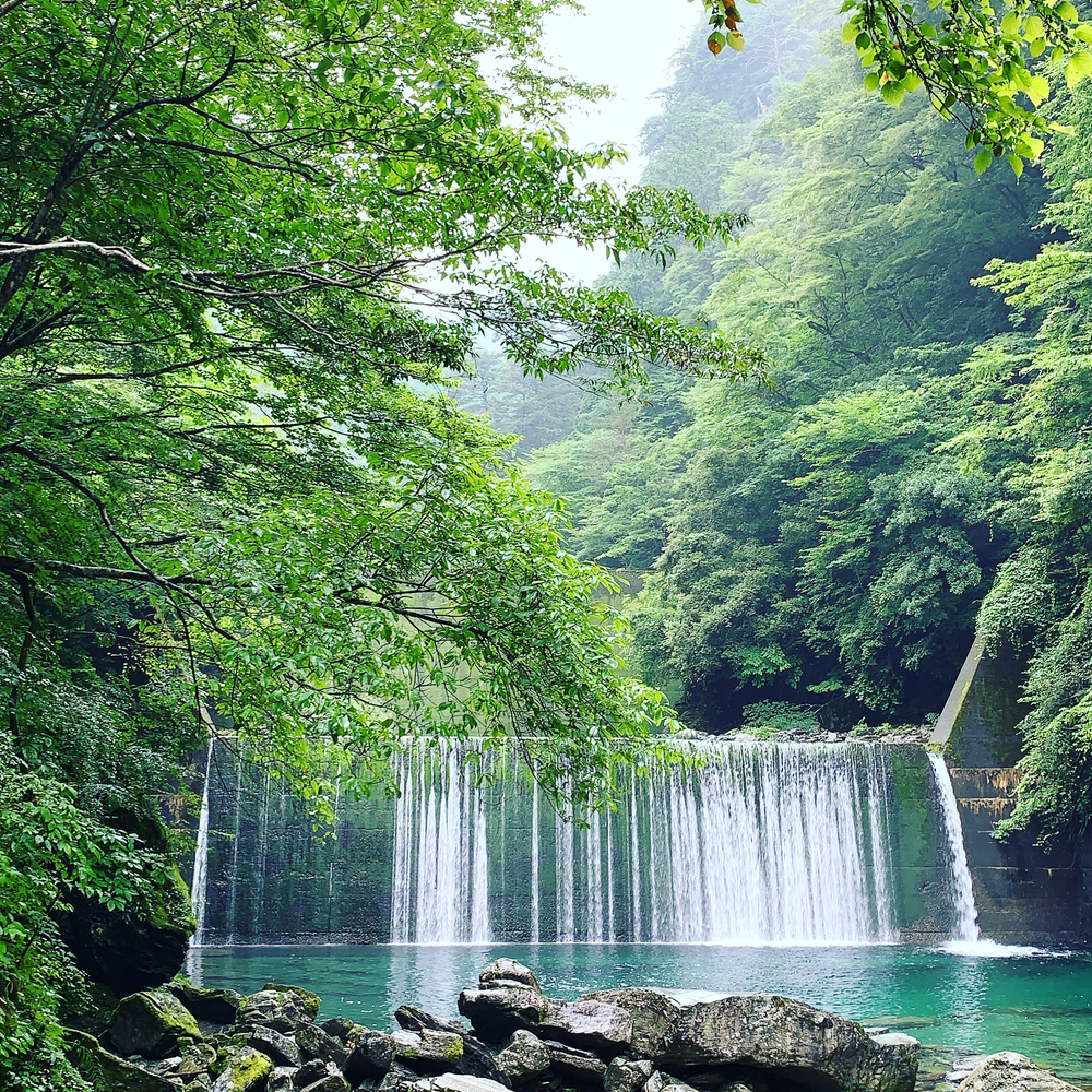 仁淀ブルー 安居渓谷ランの写真6