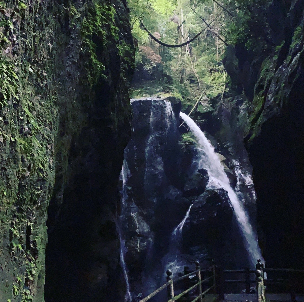 仁淀ブルー 中津渓谷ランの写真5