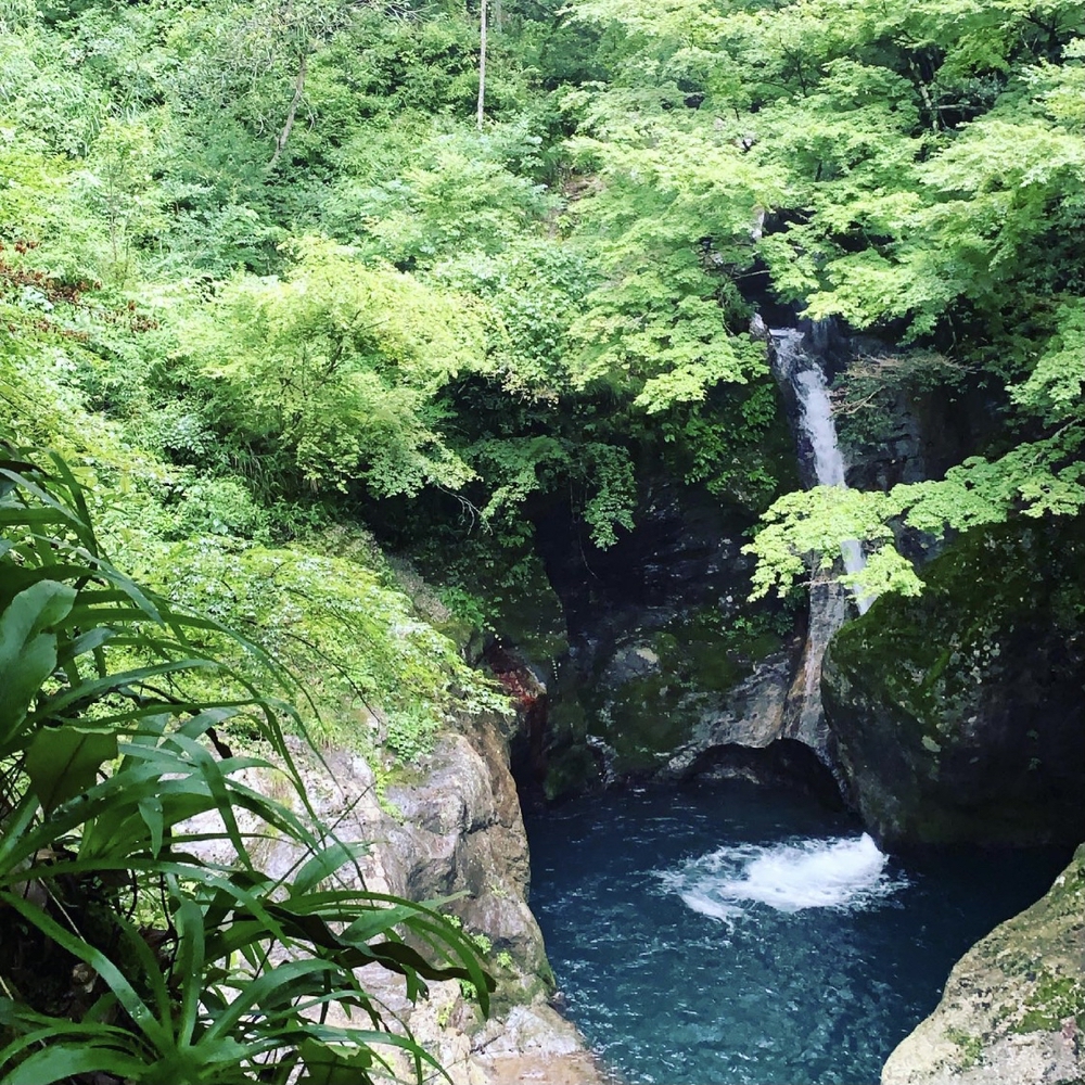 仁淀ブルー 中津渓谷ランの写真6