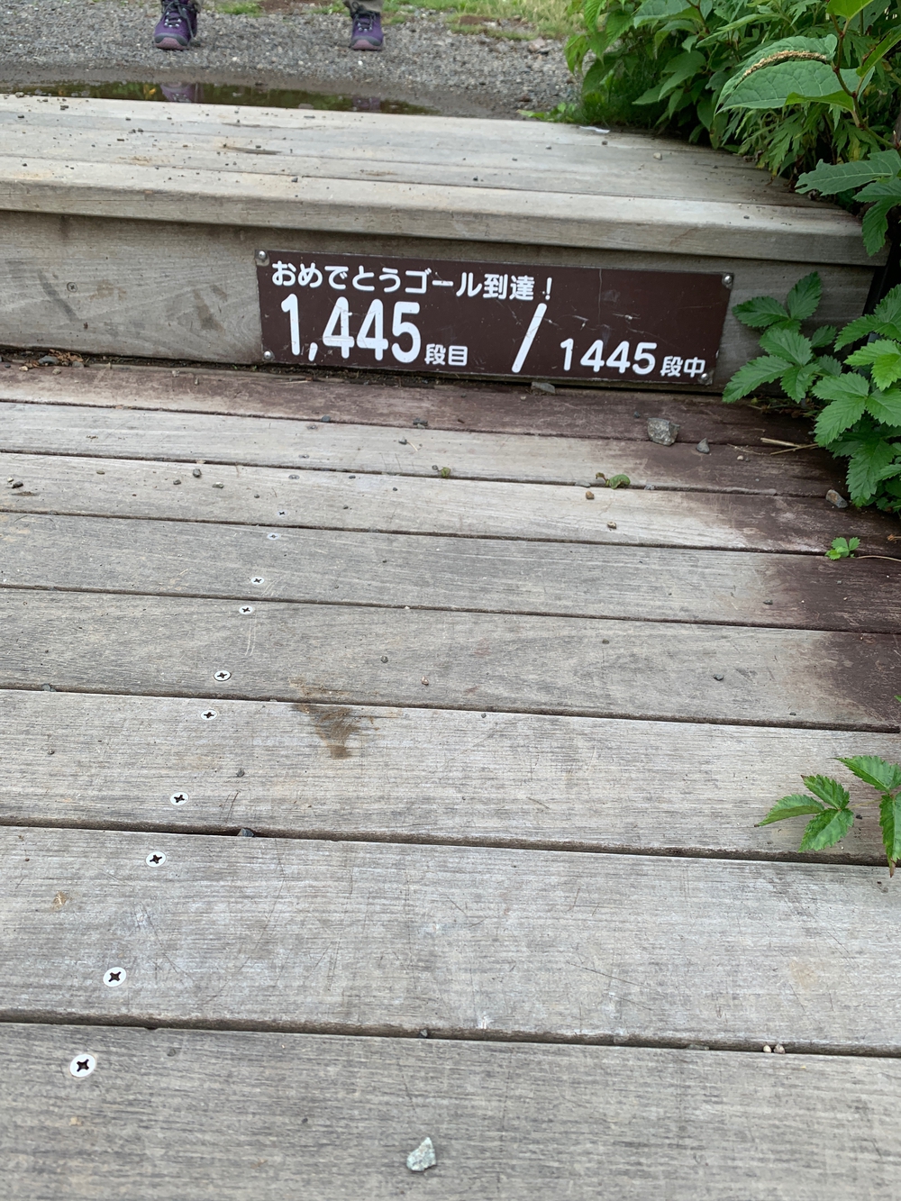 霧降高原天空回廊の写真3