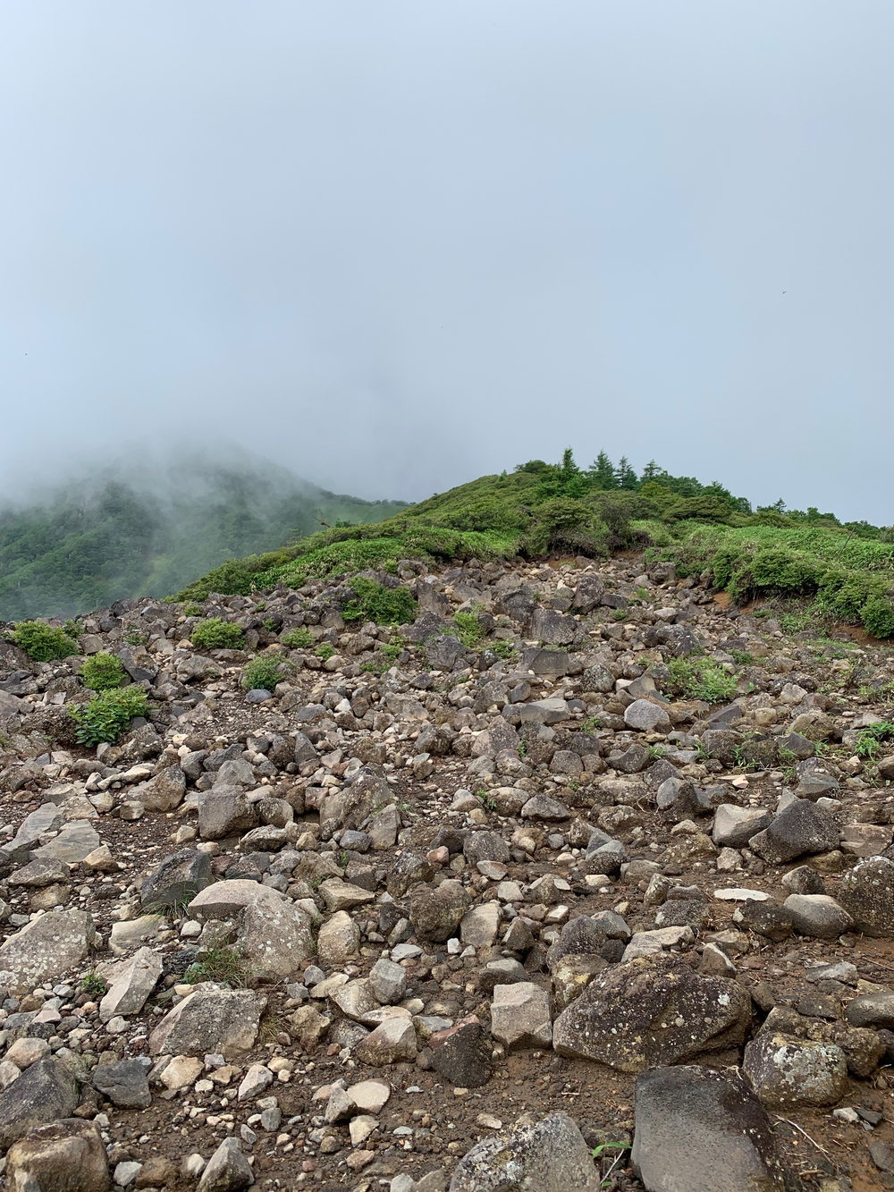 霧降高原天空回廊の写真6