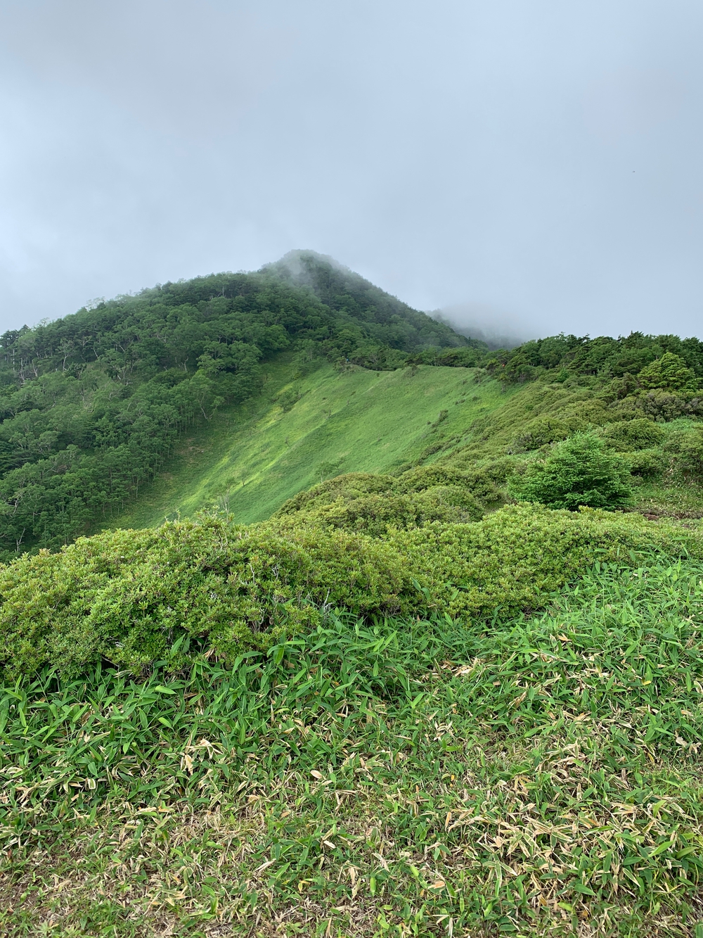 霧降高原天空回廊の写真7