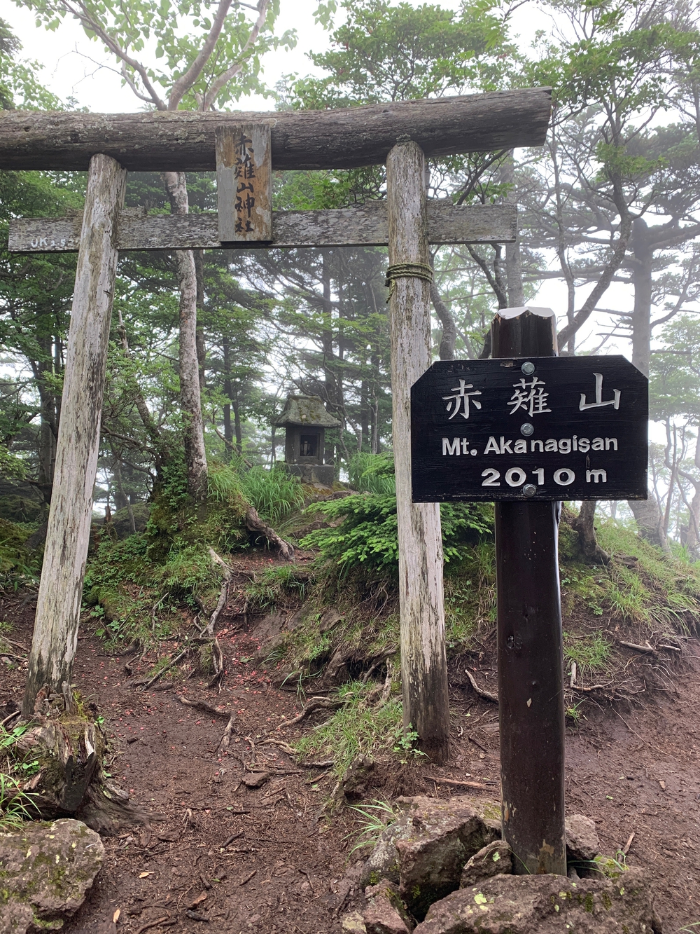 霧降高原天空回廊の写真8