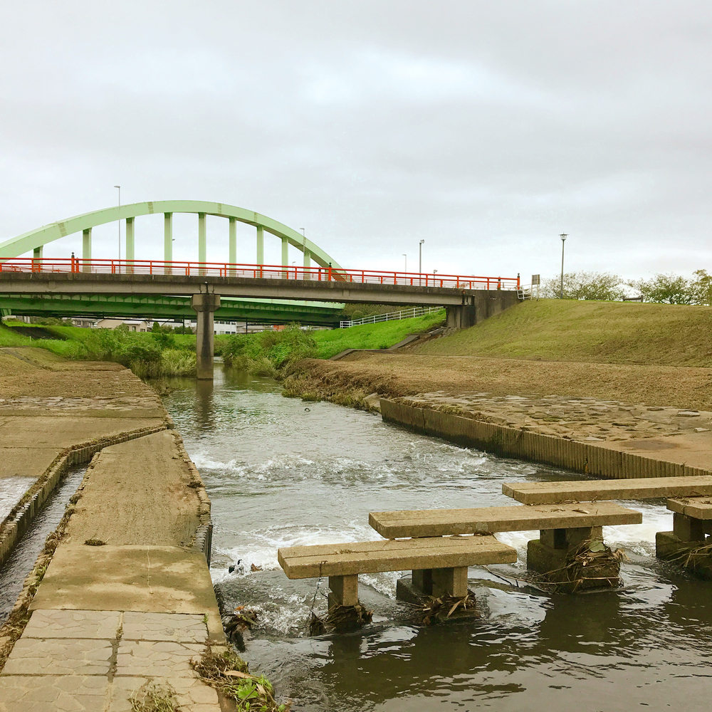 成田さくらの山公園（根木名川・取香川ラン）の写真4