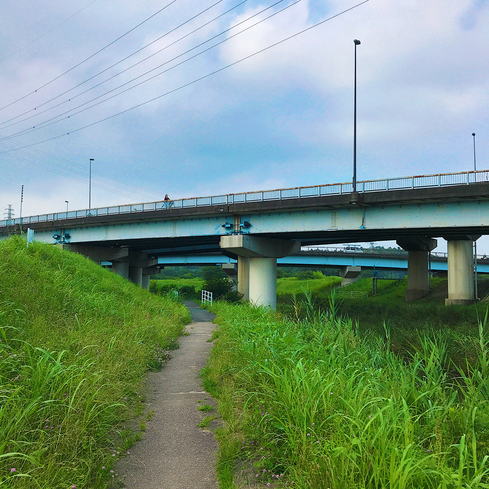 成田さくらの山公園（根木名川・取香川ラン）の写真5