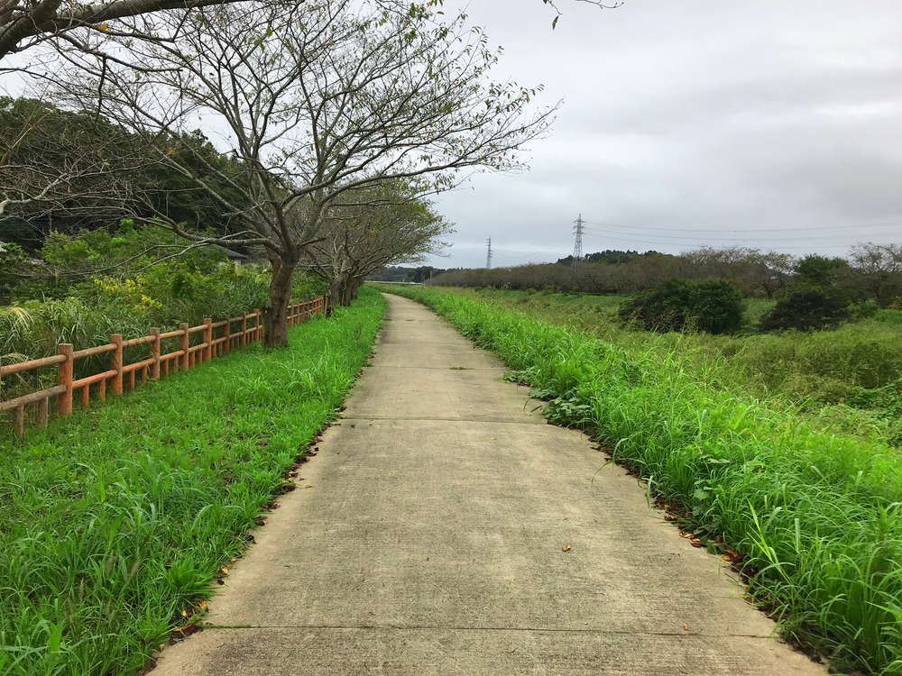 成田さくらの山公園（根木名川・取香川ラン）の写真7