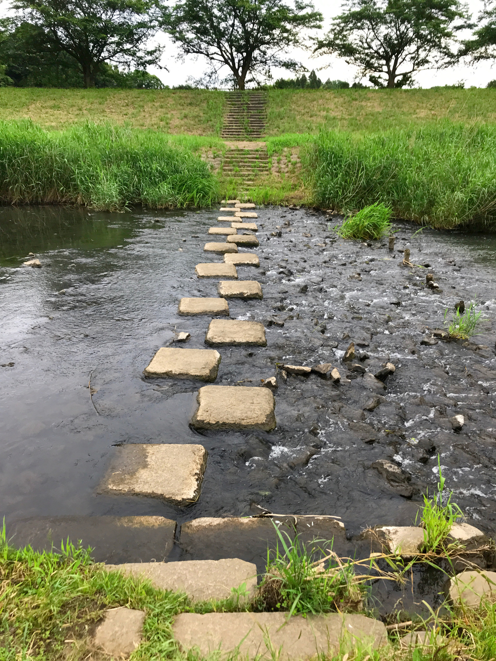 成田さくらの山公園（根木名川・取香川ラン）の写真8