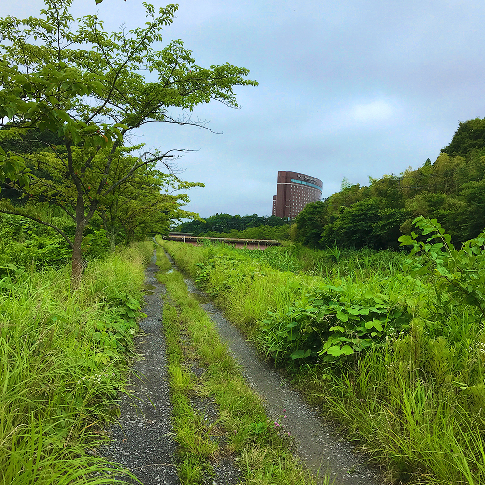 成田さくらの山公園（根木名川・取香川ラン）の写真10