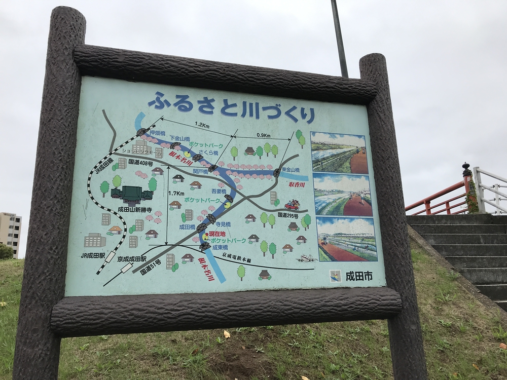 成田さくらの山公園（根木名川・取香川ラン）の写真11