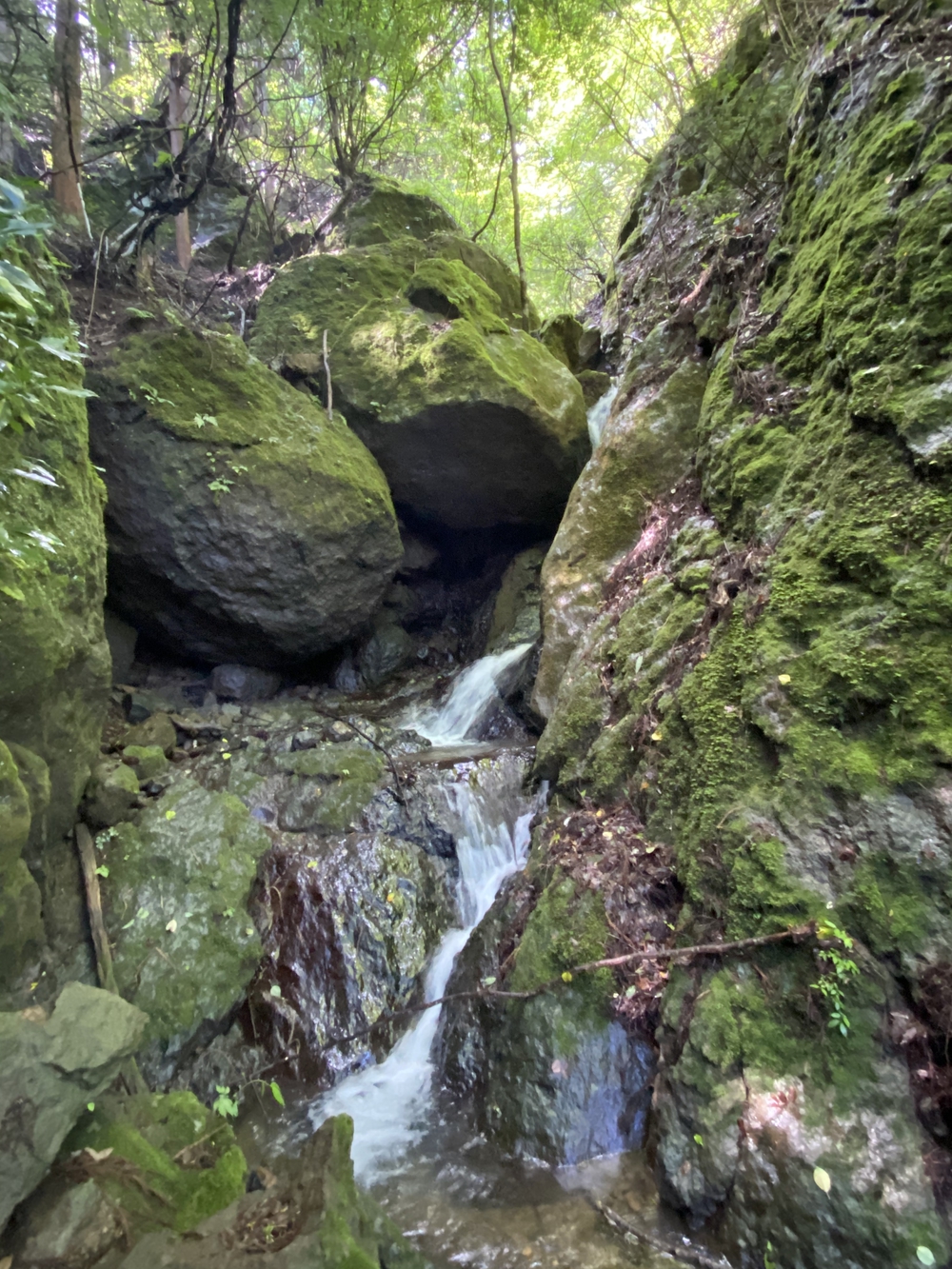 上田市 独鈷山トレイルラン♪の写真5