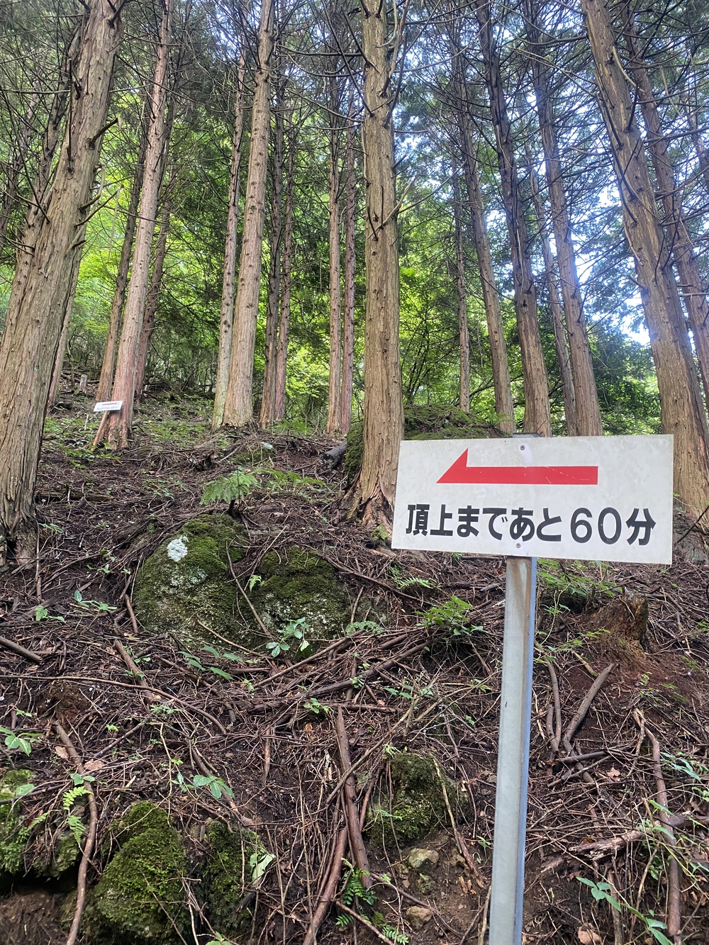 上田市 独鈷山トレイルラン♪の写真6