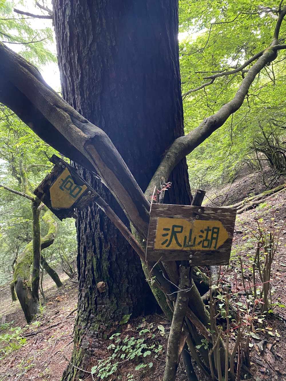 上田市 独鈷山トレイルラン♪の写真9