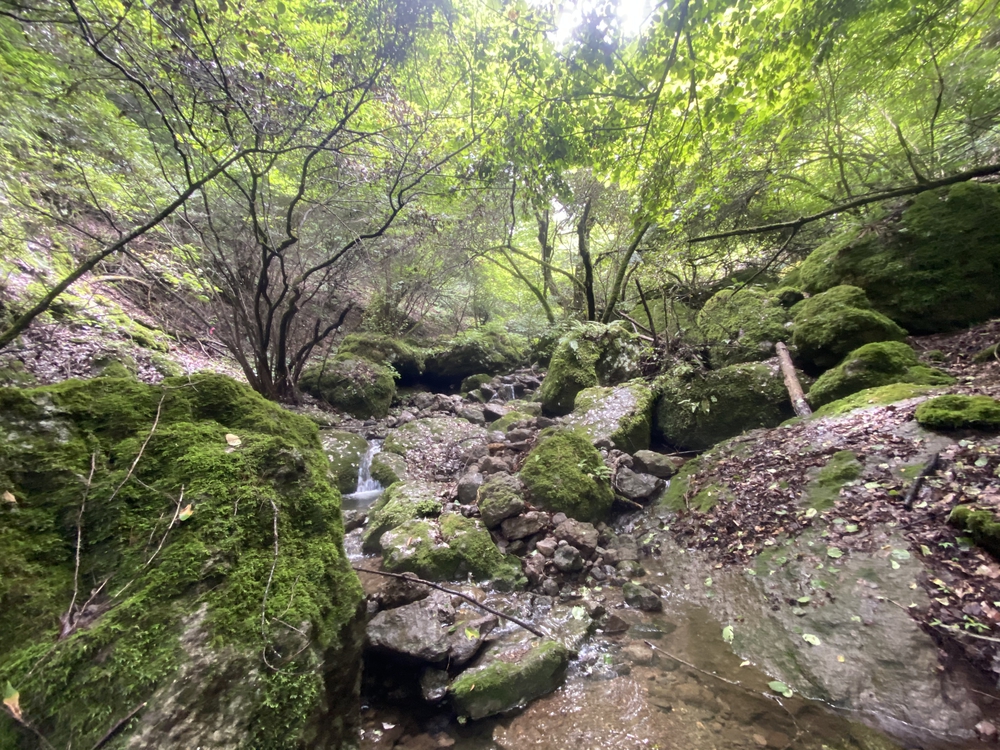 上田市 独鈷山トレイルラン♪の写真11