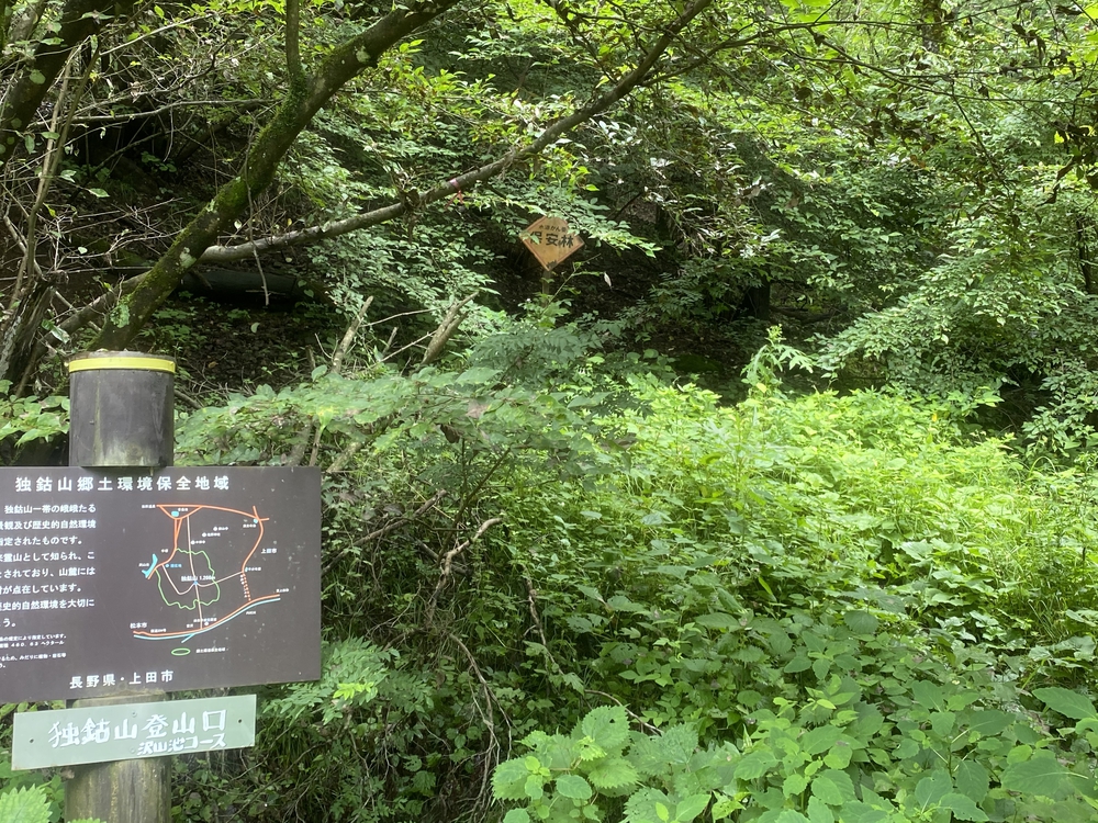 上田市 独鈷山トレイルラン♪の写真12