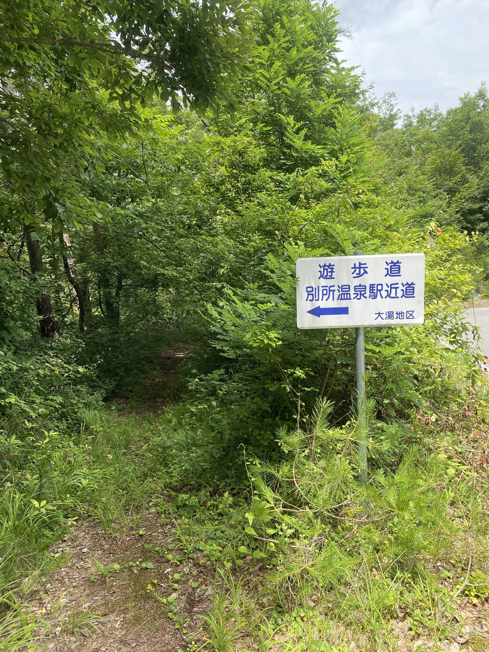 上田市 独鈷山トレイルラン♪の写真14