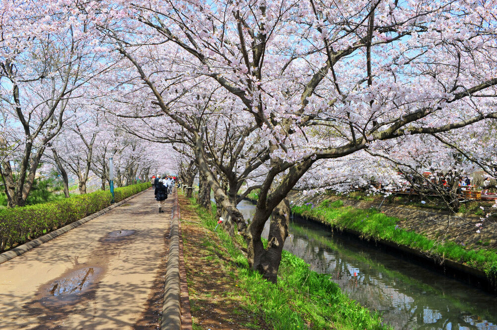 西船から複数ランニングスポットを経由するコースの写真4