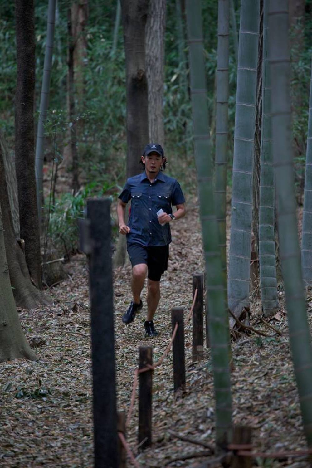 なんだかんだで新治市民の森。の写真3