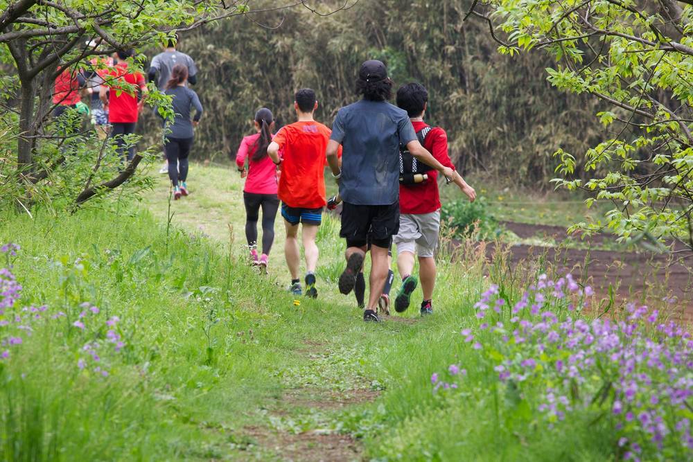 なんだかんだで新治市民の森。の写真4