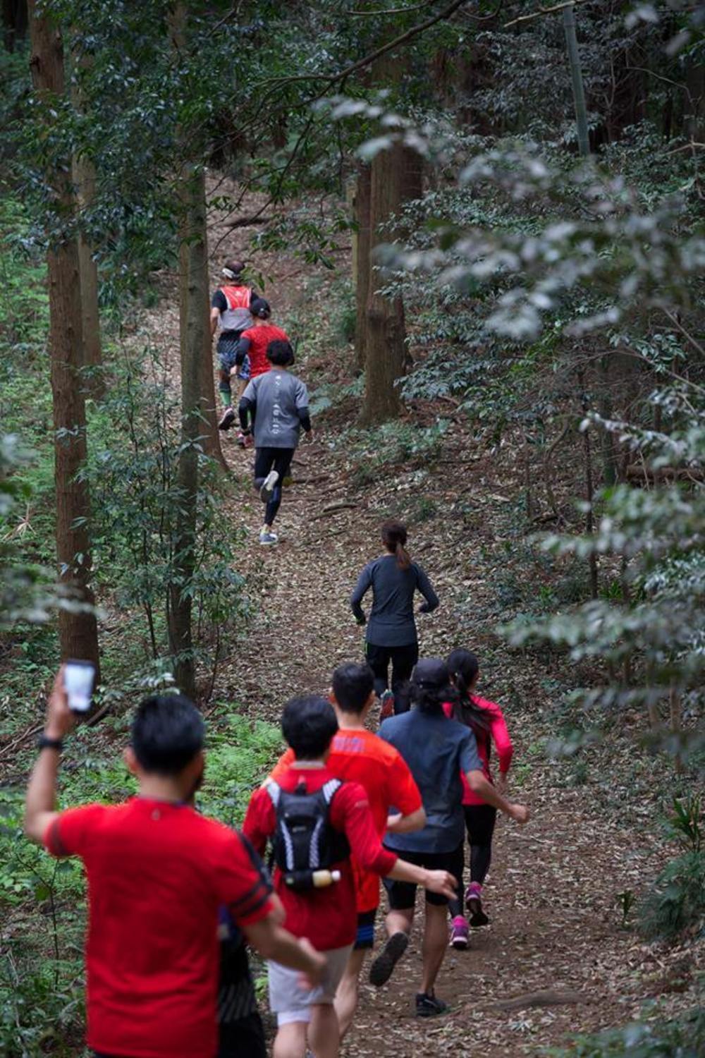 なんだかんだで新治市民の森。の写真5