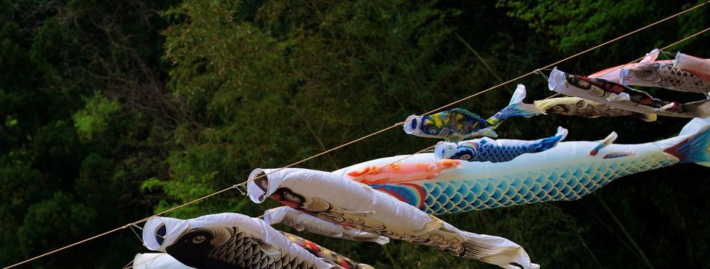 なんだかんだで新治市民の森。の写真8