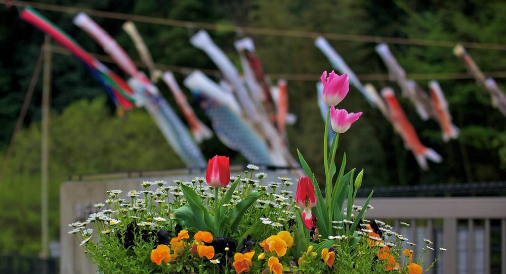 なんだかんだで新治市民の森。の写真9