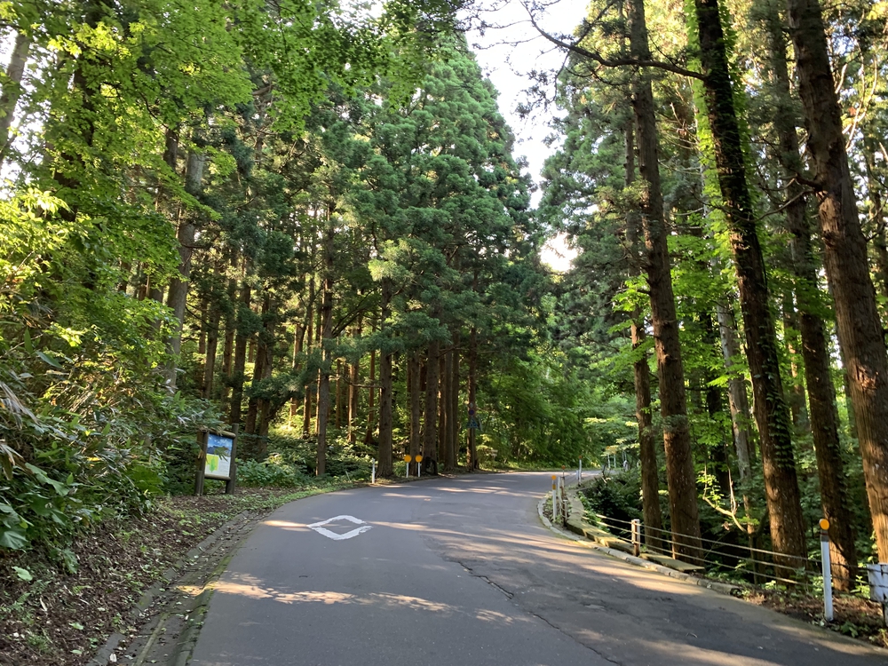 函館山ランの写真3