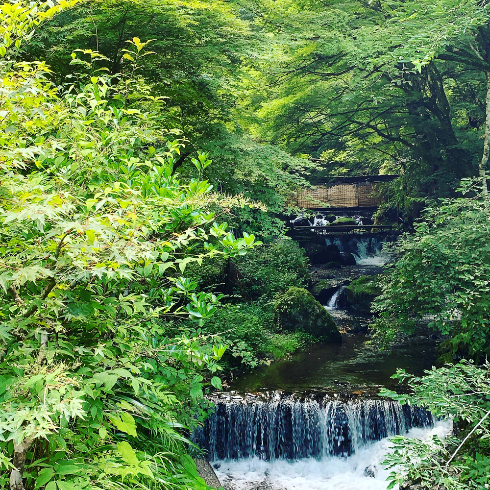 貴船口周回ラントリップ（貴船神社〜鞍馬寺トレラン）の写真3