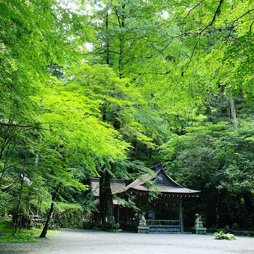 貴船口周回ラントリップ（貴船神社〜鞍馬寺トレラン）の写真4