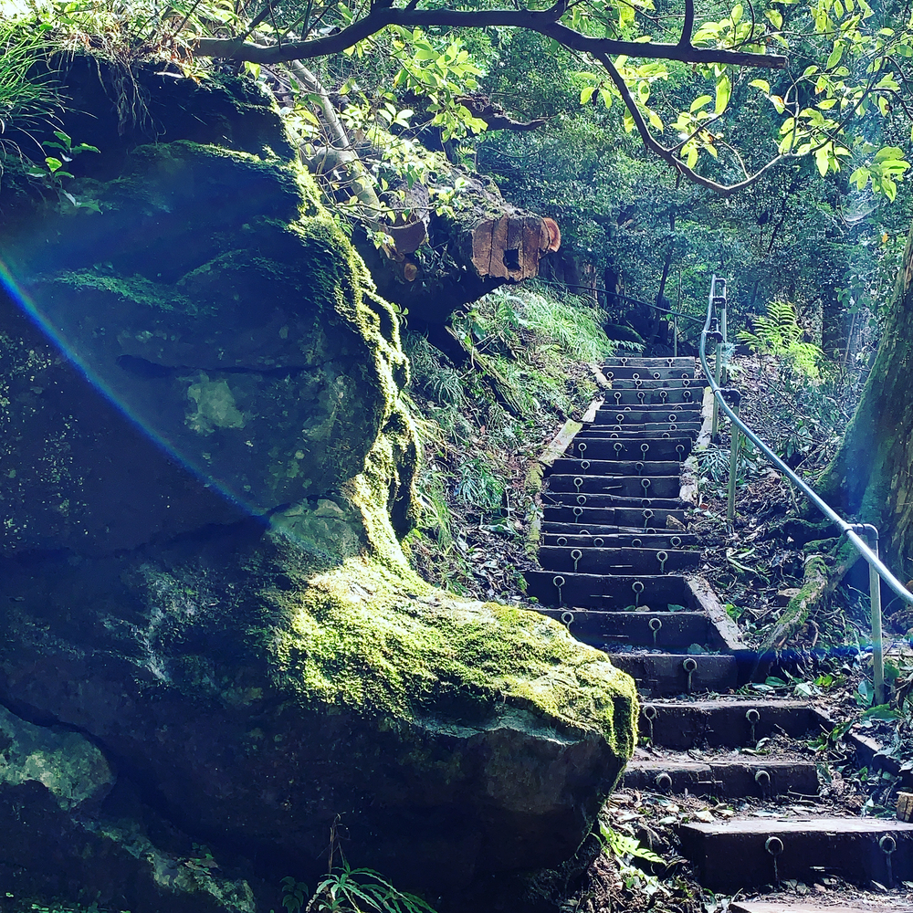 貴船口周回ラントリップ（貴船神社〜鞍馬寺トレラン）の写真6